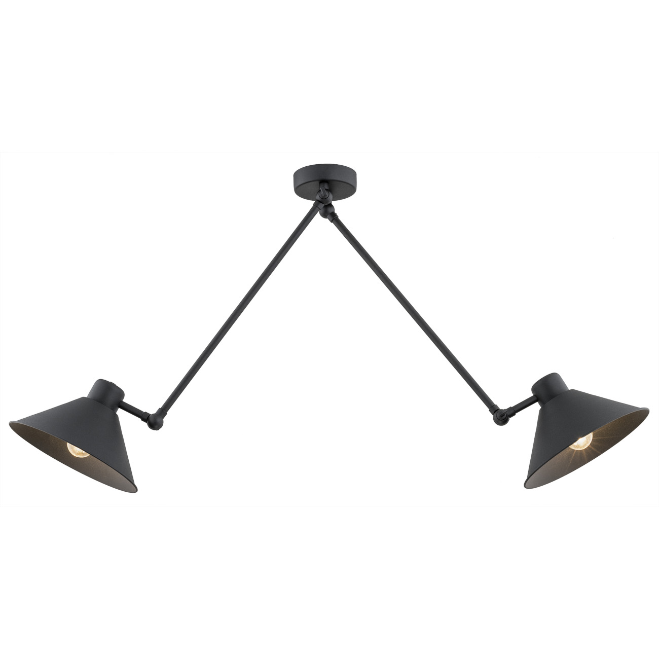 Alea 2 Arm Adjustable Ceiling Lamp, Black, 133cm Width