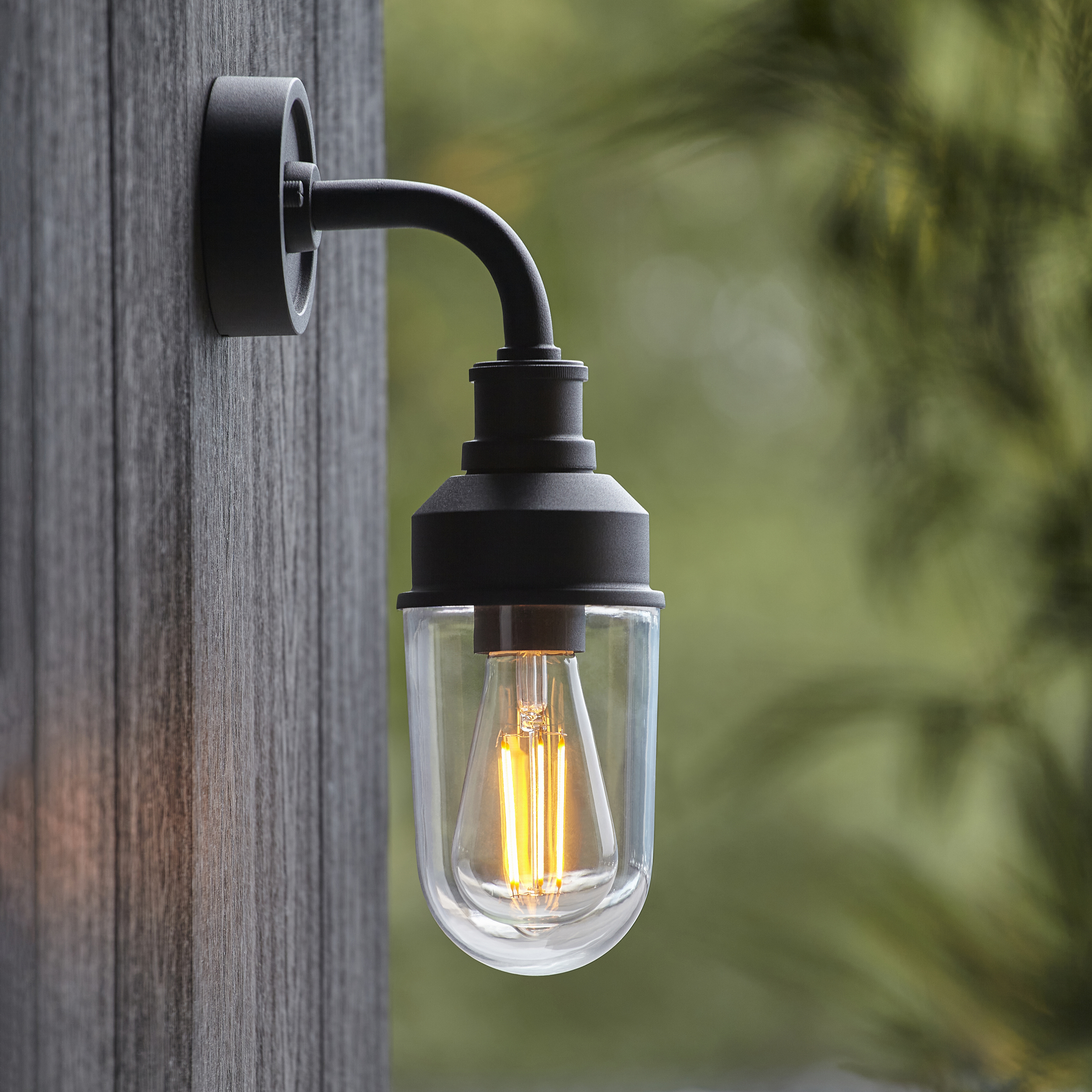 Wane Outdoor Wall Lamp, Black, Clear Glass